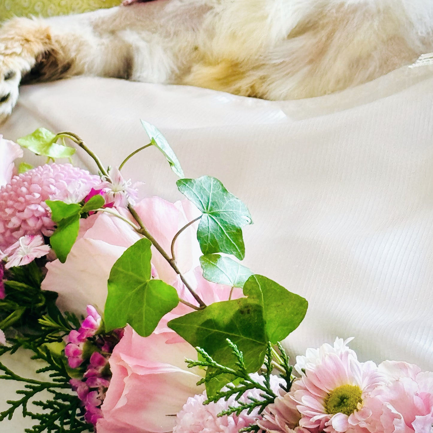 Pet Funeral Flower Arrangement Decoration 寵物葬禮花藝佈置